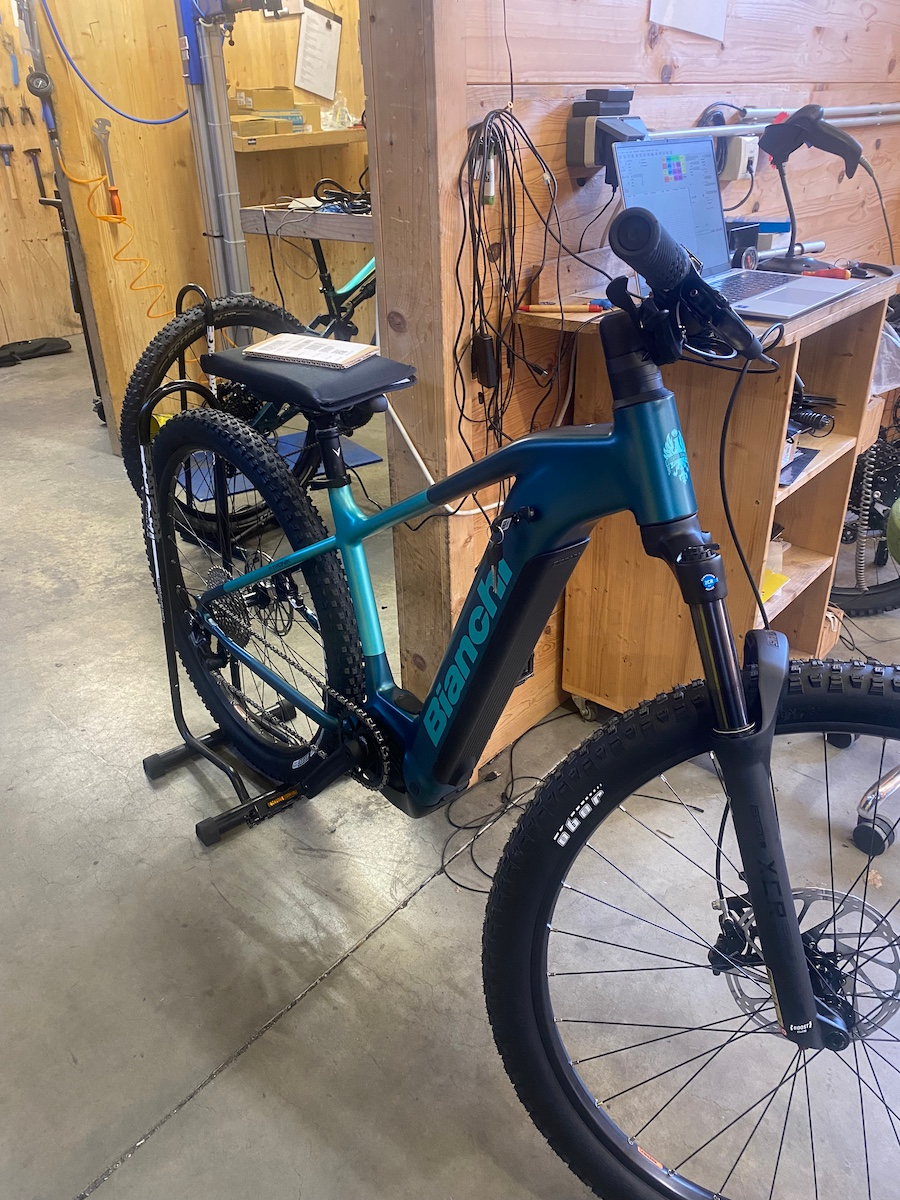 Hardtail