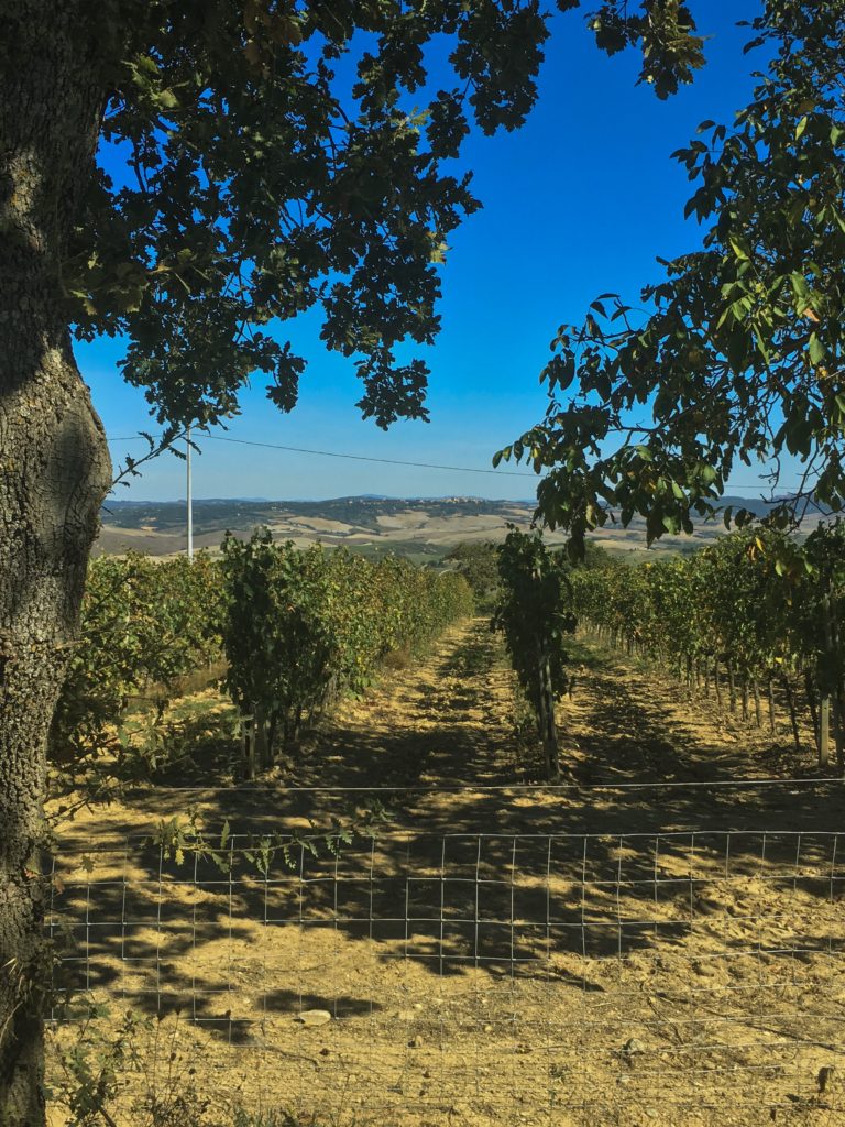Val d'Orcia, Tuscany